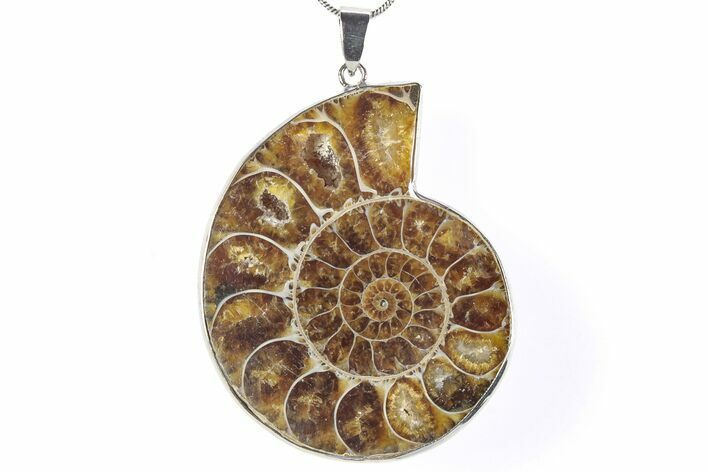 Fossil Ammonite Pendant - Million Years Old #290175